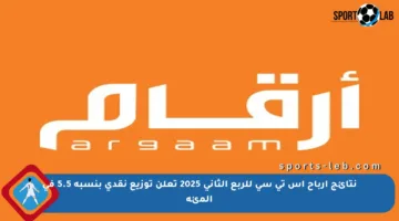 نتائج أرباح إس تي سي للربع الثاني 2025 تعلن توزيع نقدي بنسبة 5.5 في المئة